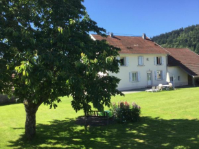 Gîte Léonline sur les hauteurs de Masevaux -au pied des Vosges